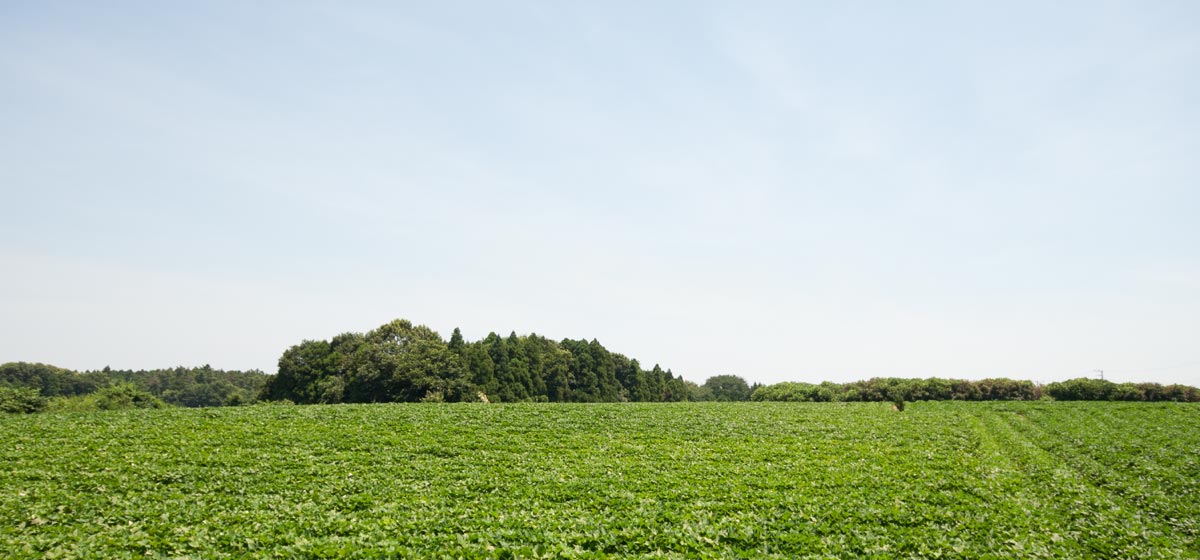 メインイメージ