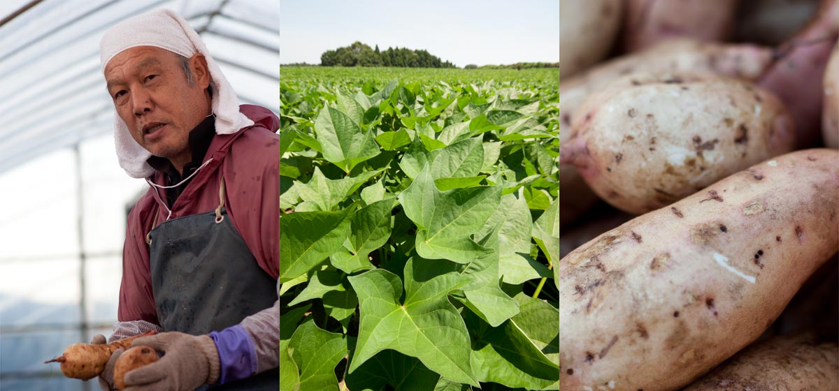 メインイメージ